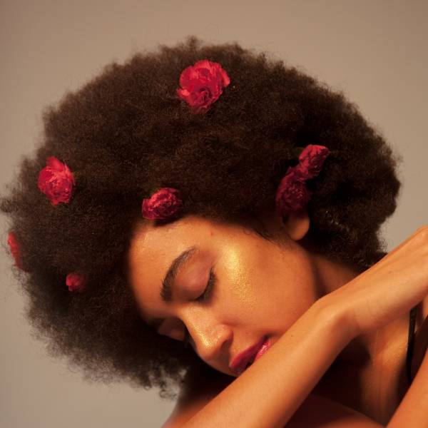 Petit Judi Jackson DR.jpg